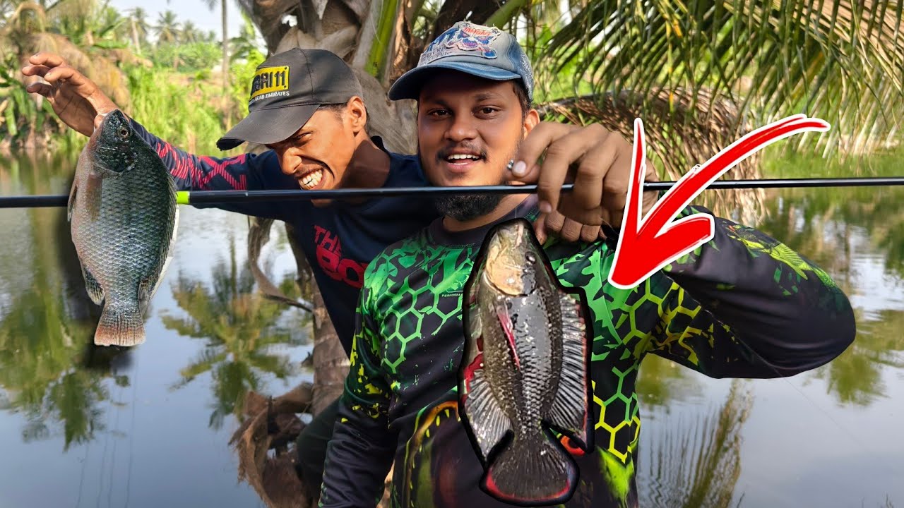 தூண்டிலில் மண்புழு போட்டு மீன் பிடிக்க போறோம் | single hook Fishing video Tamil  easy fishing method