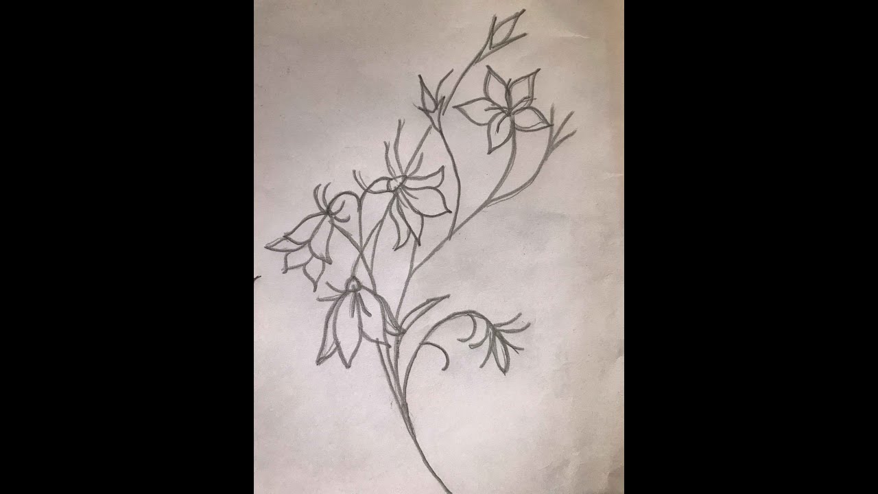 Hand embroidery, Amazing Jasmine flowers embroidery design.