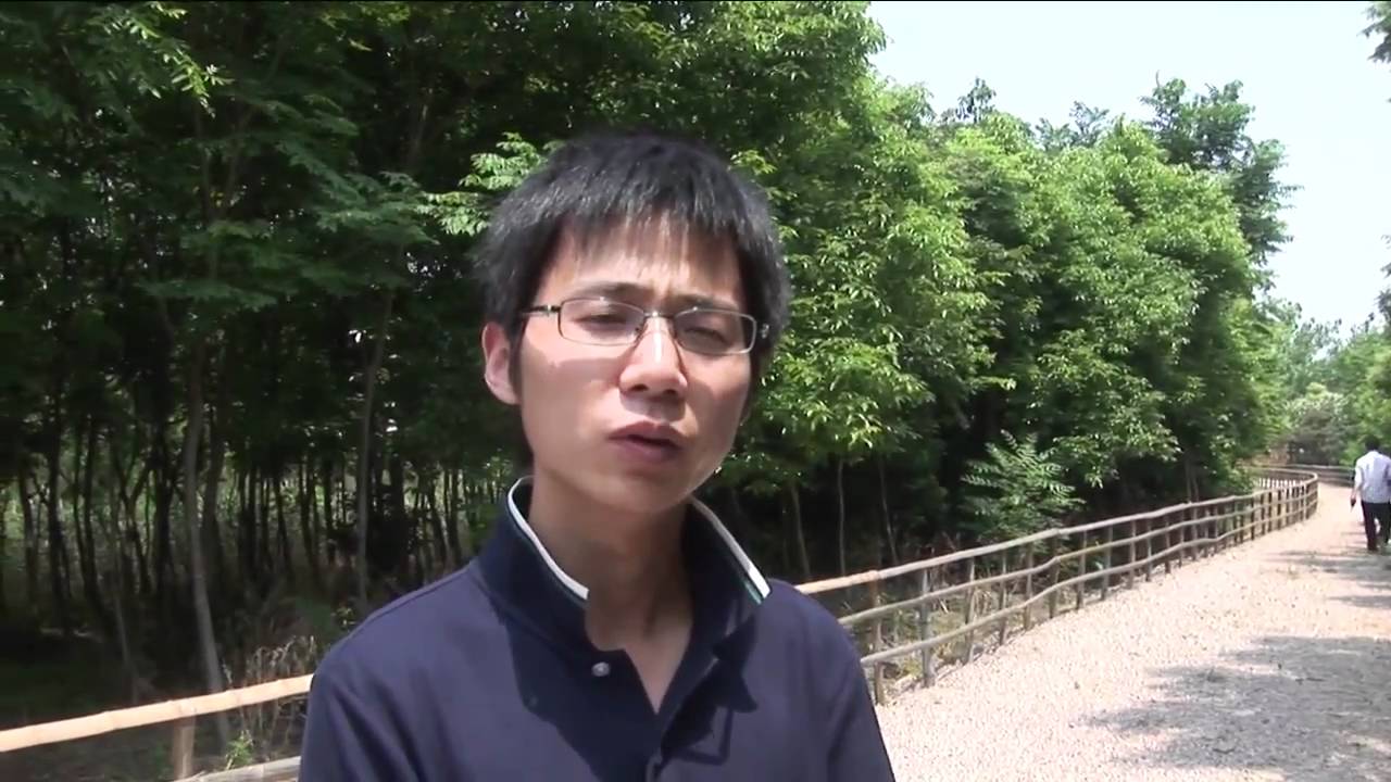 China Wetlands