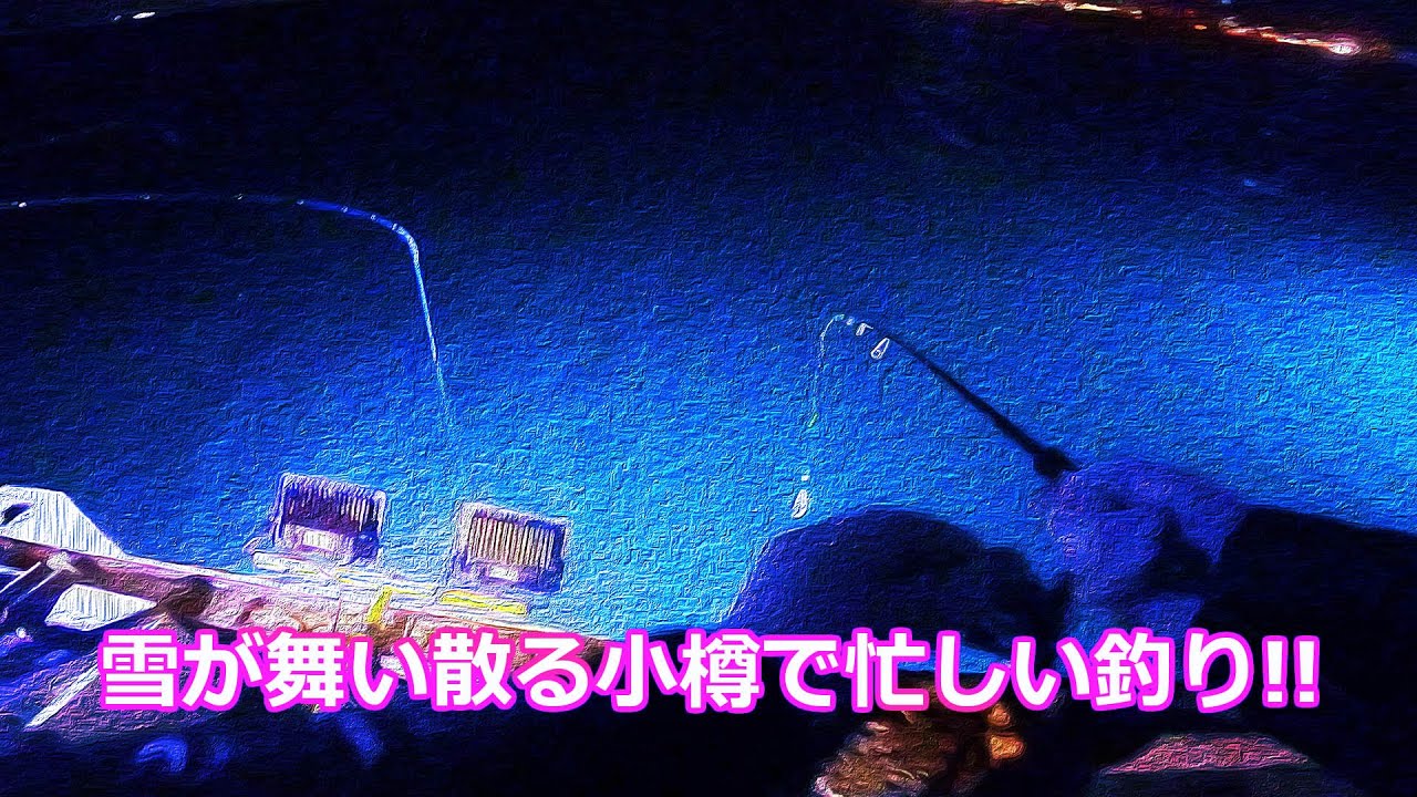 【北海道石狩湾・小樽釣り】雪が舞い散る小樽港で忙しい夜釣り!!　2024.11.17　北国の生活（マメイカ、ヒイカ、ハゼ、サバ、アイナメ、投光器、シャクリ機、エギング、サビキ釣り）