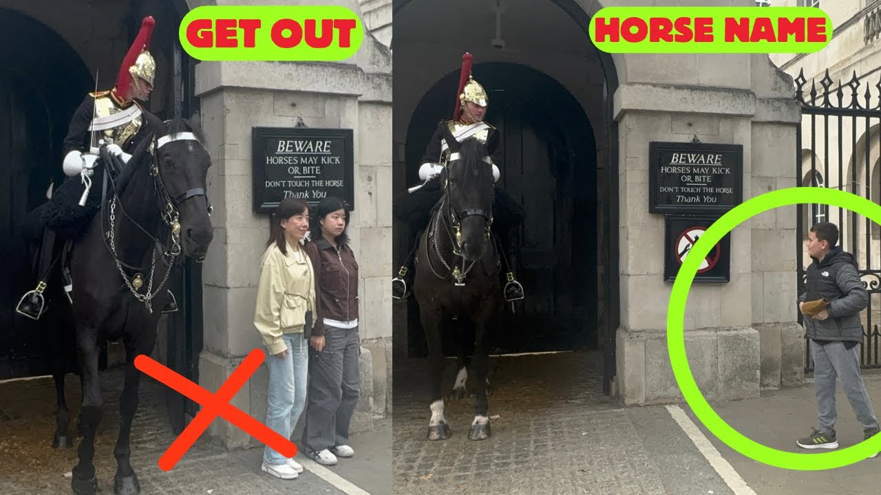 SHOUTS! 😡 Loud Guard & Hero Guard Shares Horse Name ‘Rormen’ ❤️🐎