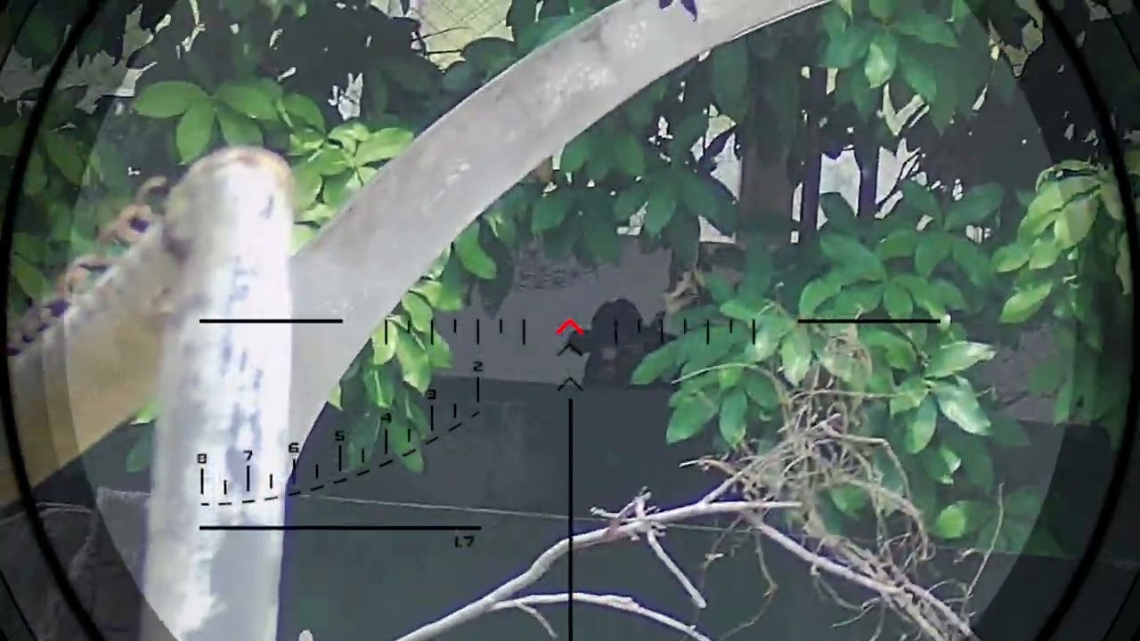 Airsoft no Club Campestre, Colatina.