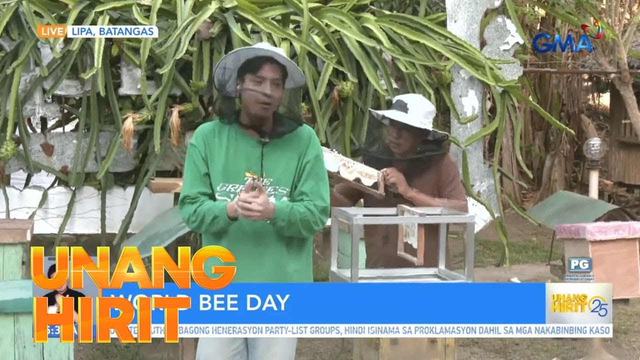 Bee-utiful bee farm sa Lipa, Batangas! | Unang Hirit