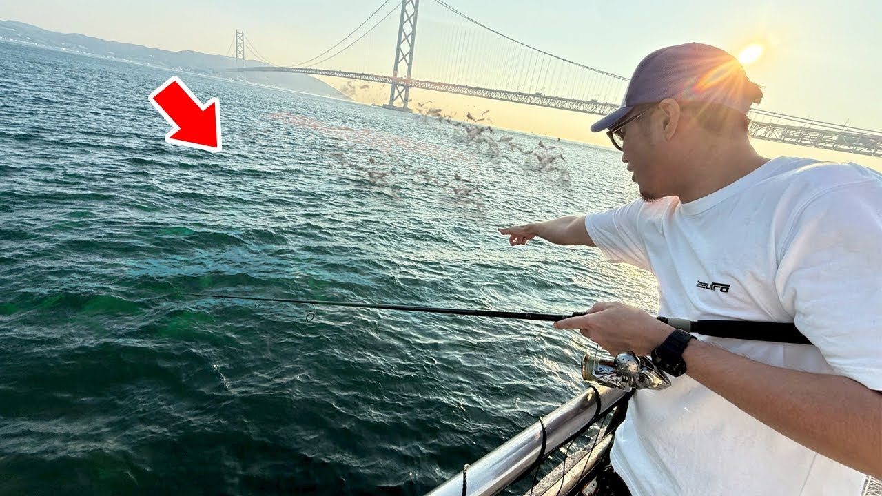 【緊急事態】夏のアジュール舞子に異変‥入れ食い大サバが時合無視で釣れ続ける奇跡。関西最強の釣り場に変貌【2025夏】