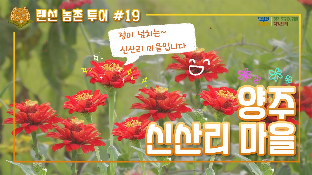 랜선 농촌 투어 19편 - 양주 신산리 마을