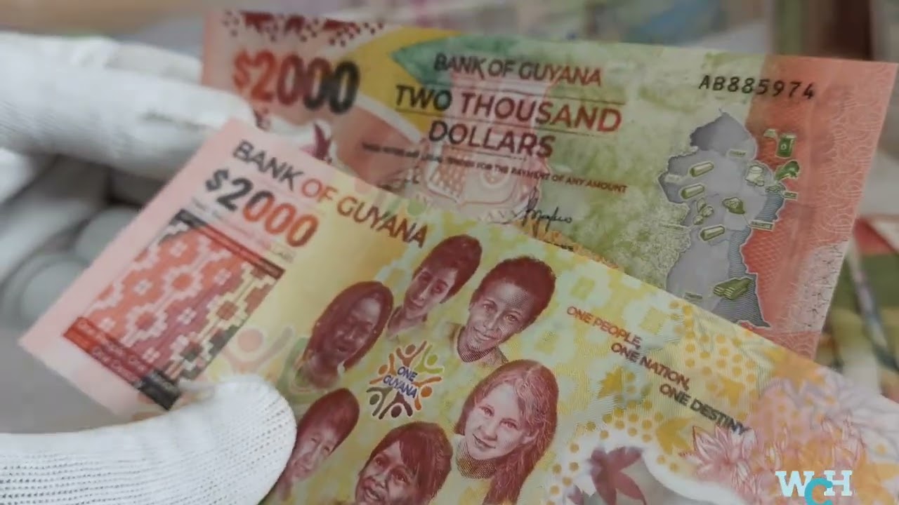 Colorful Polymer Bank Notes Collection - World Currency Bank Notes,Old and Rare