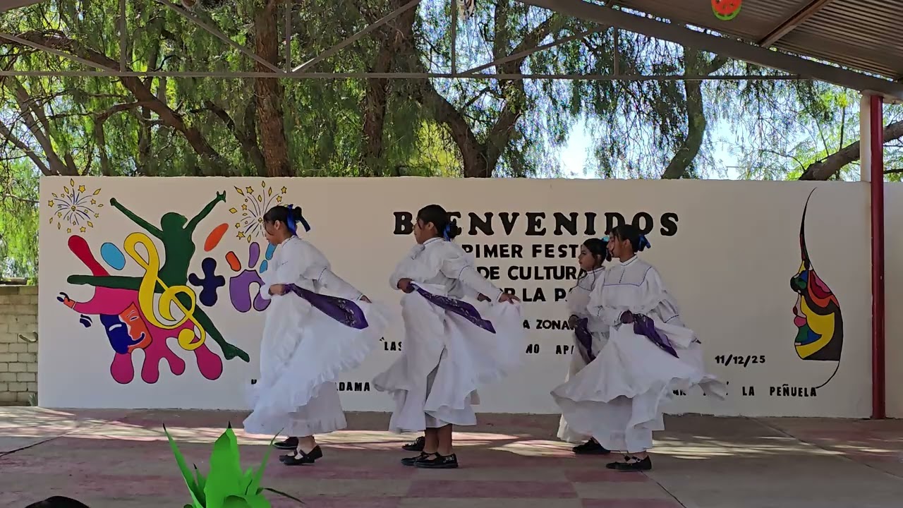 Alingo lingo bailable