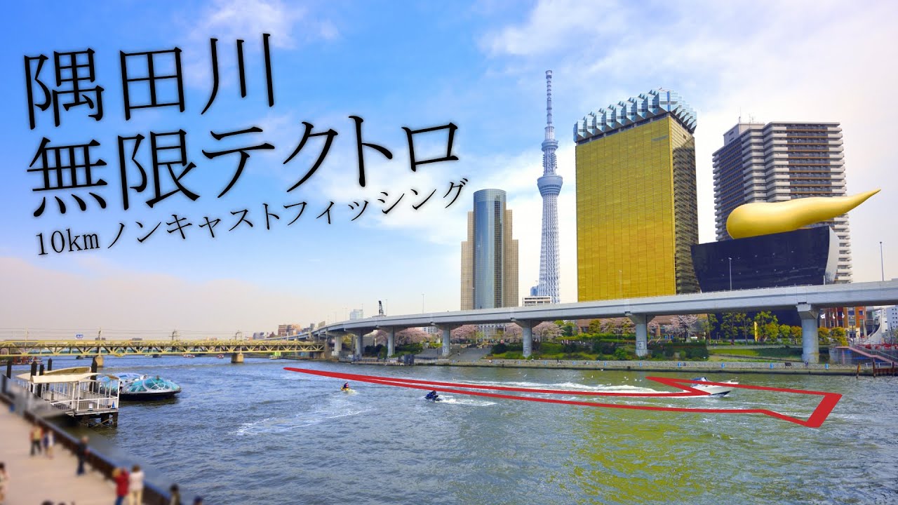 隅田川をテクトロで10キロ歩くとシーバスが釣れるのか試してみた&hellip;