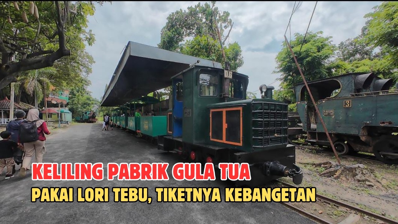 JAJAL NAIK LORI TEBU KELILING PABRIK GULA TASIKMADU CUMA 10 RIBU, LAGI VIRAL DI 2026