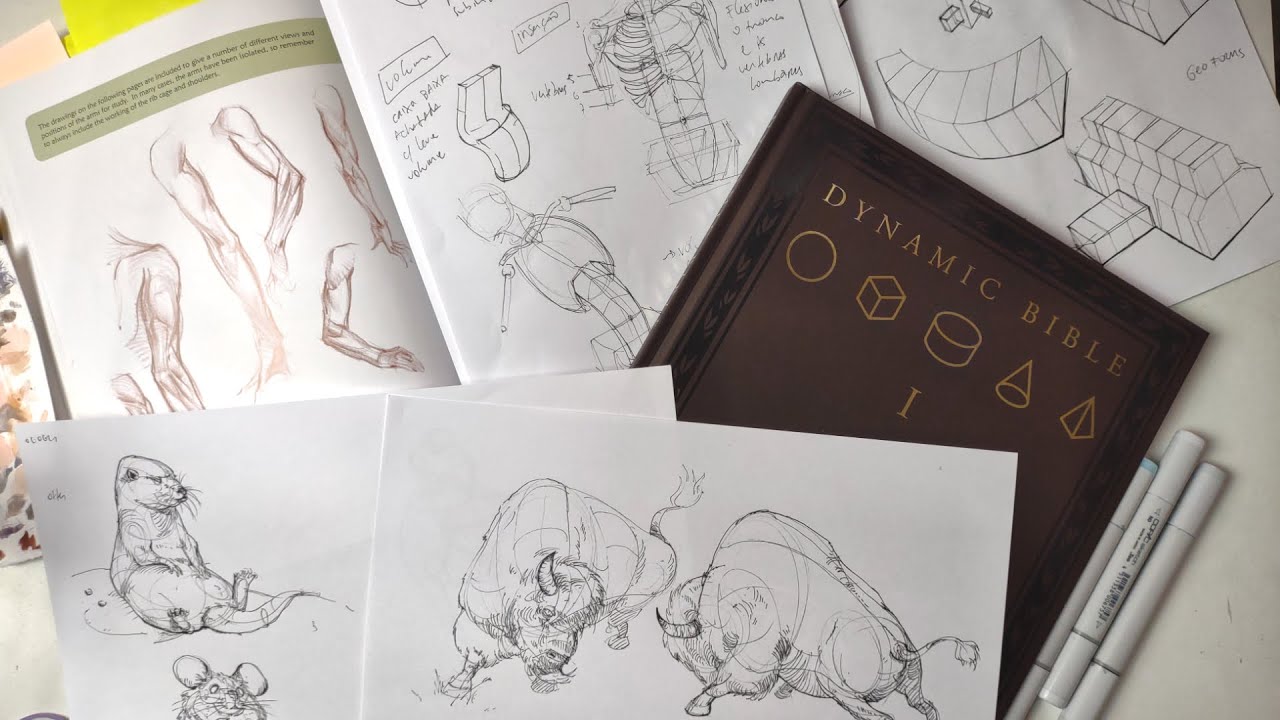 AUL&Atilde;O: Como Estudar Desenho Sozinho do Jeito Certo ⚡(p&oacute;s-Intensiv&atilde;o DsM)