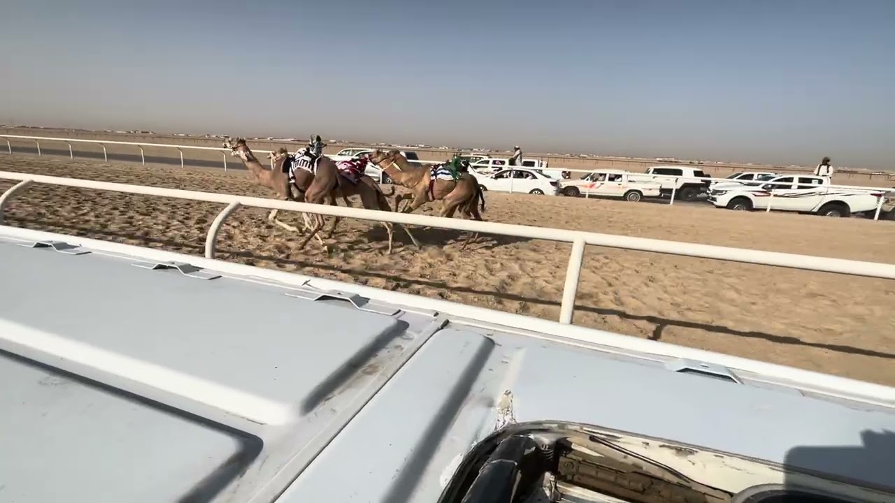 ٧ صمت ملك راشد بن سعيد البريص