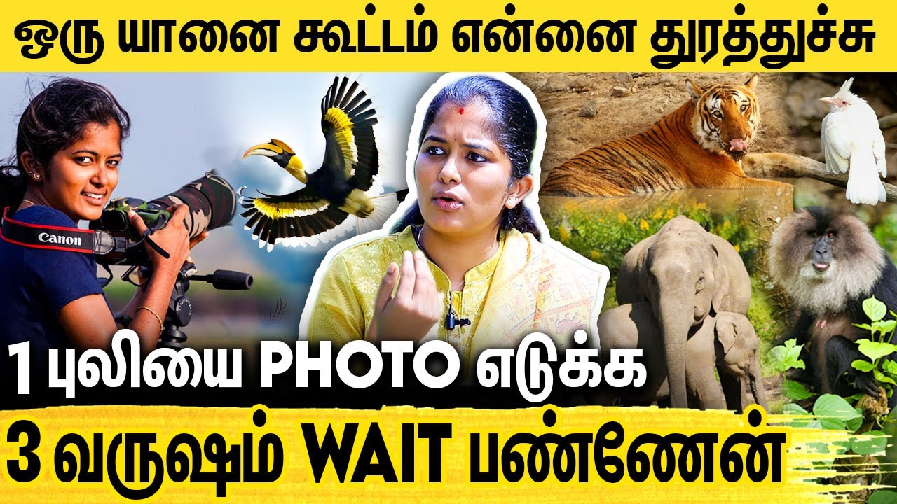 காட்டுக்குள்ள எனக்கு நடந்த திகில் சம்பவம் : Women Wildlife Photographer Divya Barathi Interview