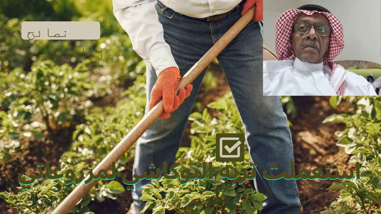 استعملت تربة البوكاشي بمزروعاتي