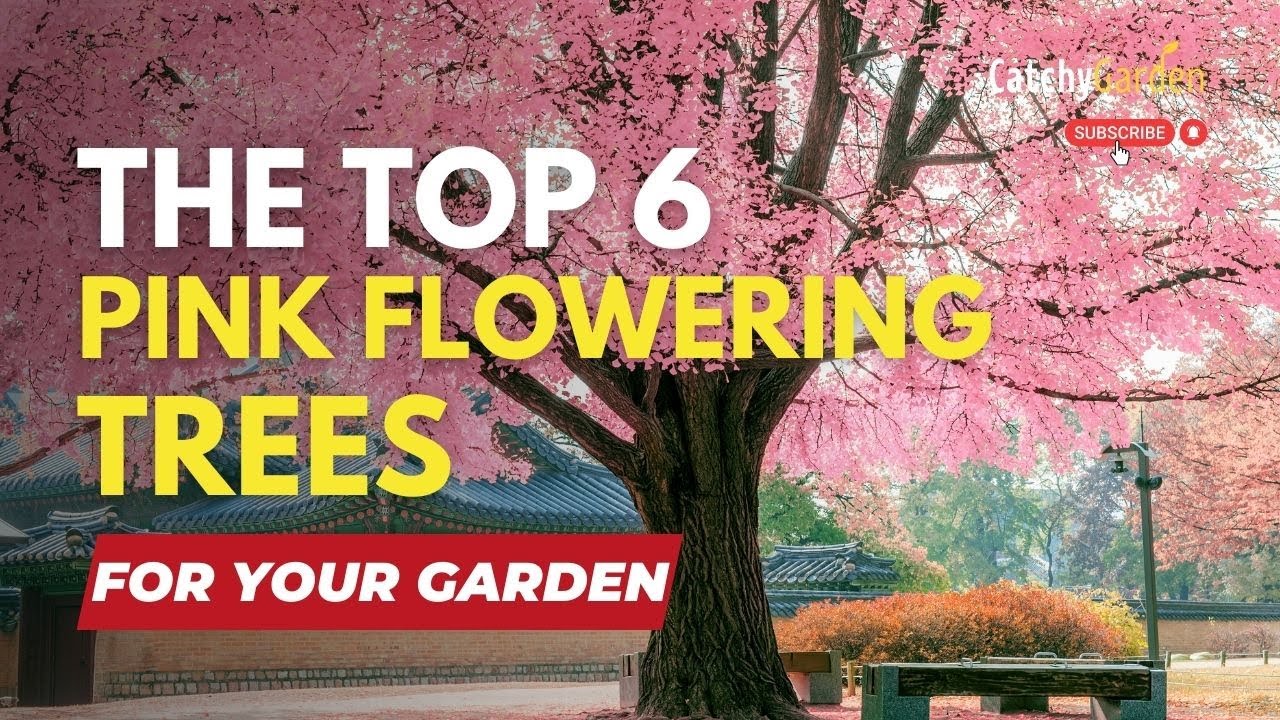 The Top 6 Pink Flowering Trees for Your Garden 🌸🌳🌷