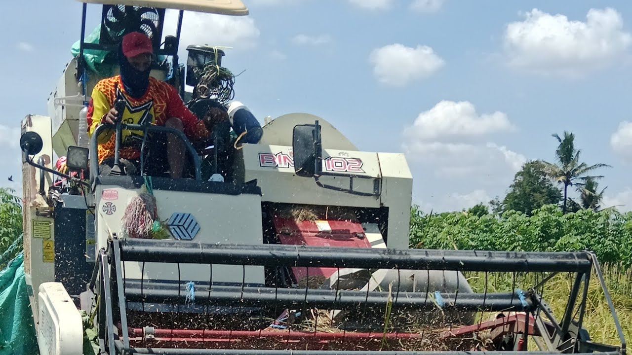 Kombi bimo 102 motong padi roboh