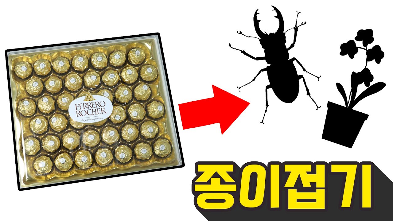 화이트 데이!! 페레로로쉐 초콜릿 종이접기!!