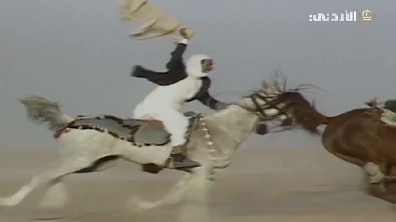 عشق البدو للخيل الأصيل ❤️✨