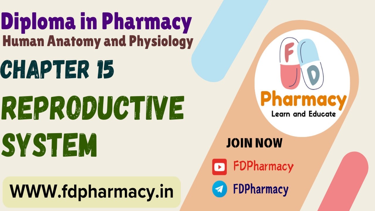 CH 15 Reproductive system Notes | Human Anatomy & Physiology Notes | D.Pharma 1st Year Notes