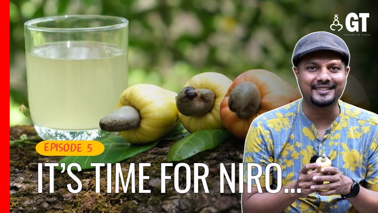 Niro: Making Cashew Juice at SVD Raia | Goan Appetit | Goan food show | Goa 2024 | Gomantak Times |