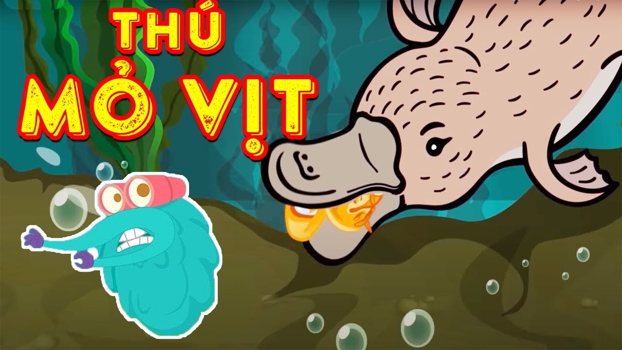 Tập tính Kỳ Lạ của vị Vua Weirdos | Kiến Thức Thú Vị | Hoạt Hình Giáo Dục