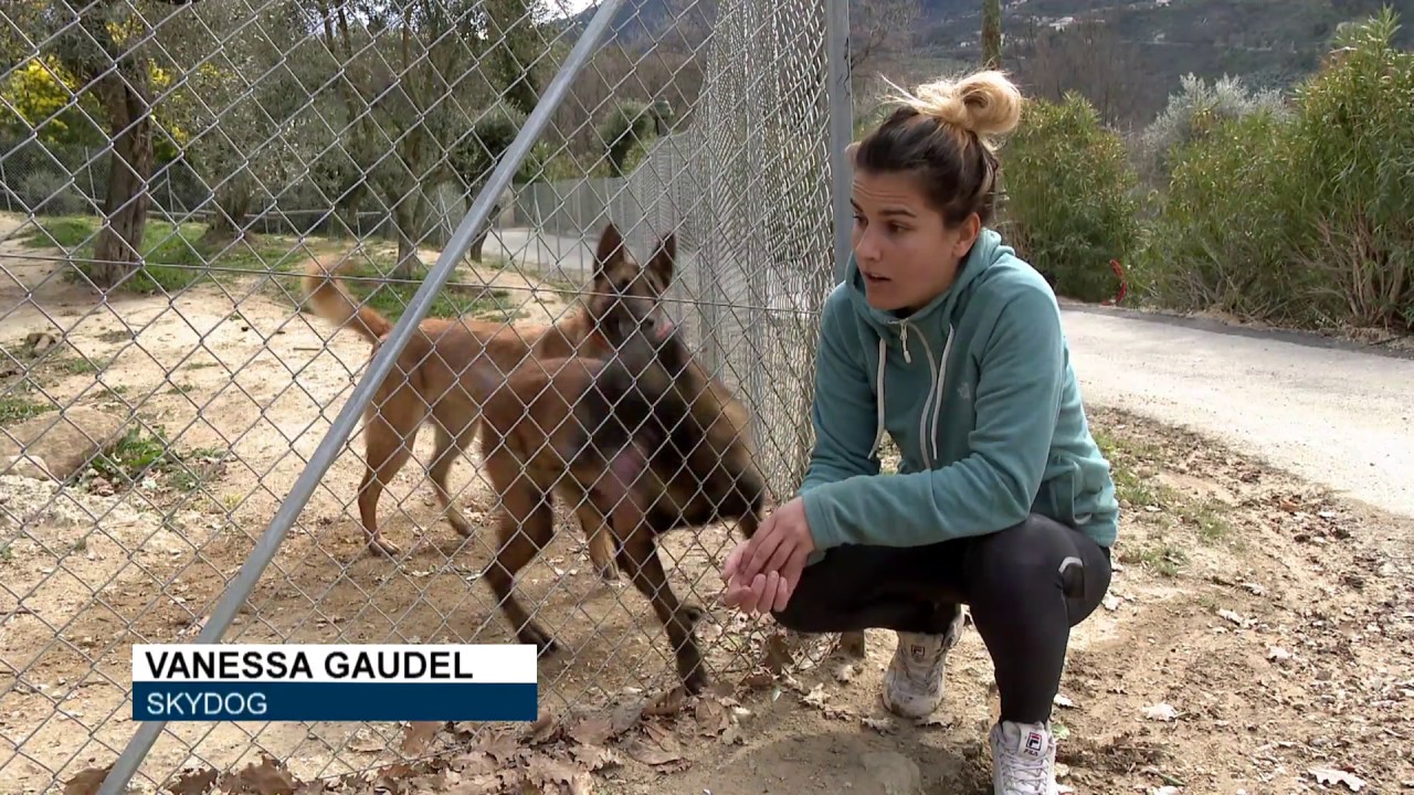 Sky Dog : donner une seconde chance