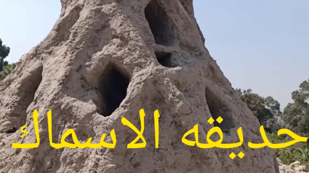 من الجبلايه شقه عبد الحليم حافظ في حديقه الاسماك