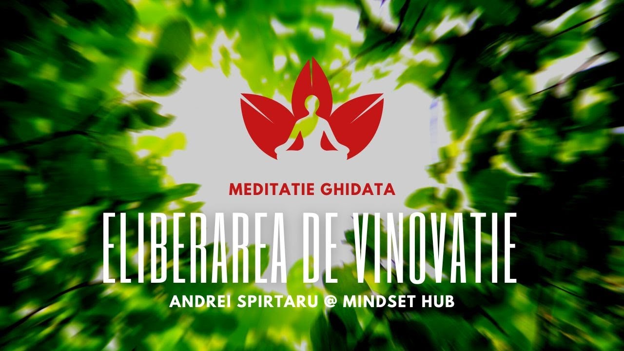 Eliberarea de vinovatie - Meditatie ghidata cu Andrei Spirtaru