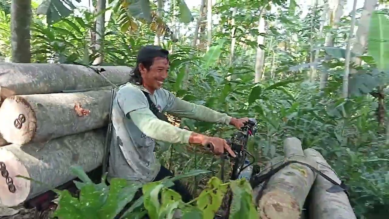 Suka duka ojek kayu