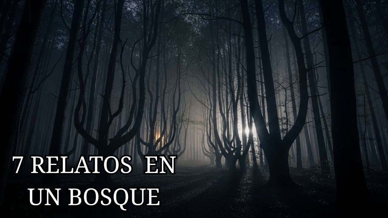 7 RELATOS ATERRADORES OCURRIDOS EN UN BOSQUE