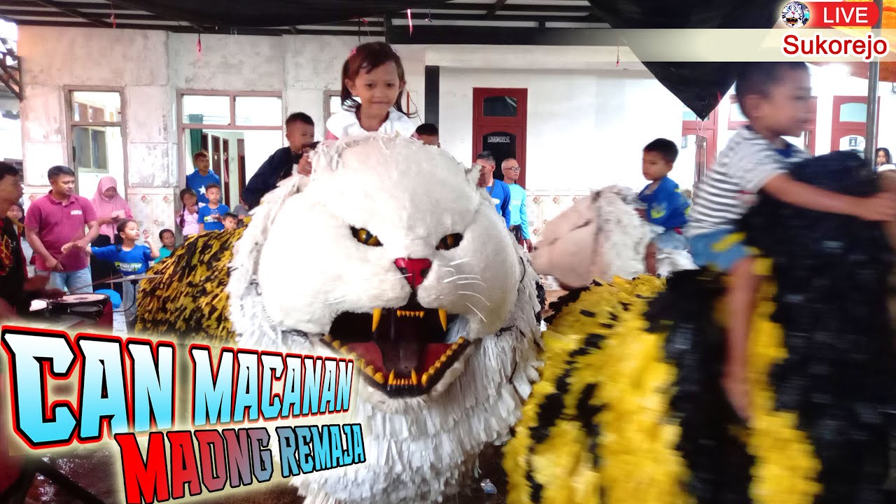 CAN MACANAN MAONG REMAJA LIVE  SUKOREJO