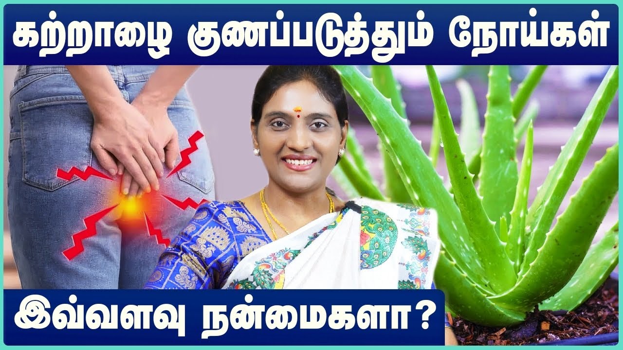 சோற்று கற்றாழை மருத்துவ பயன்கள் |  Aloe Vera Health Benefits | Aloe Vera Uses | Cosmo Health