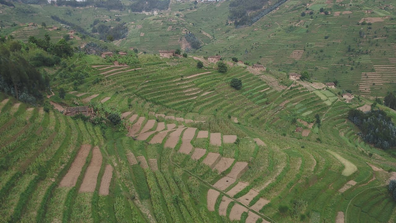 AgriStoriesRw: Ibyiza byo guhinga ku materasi