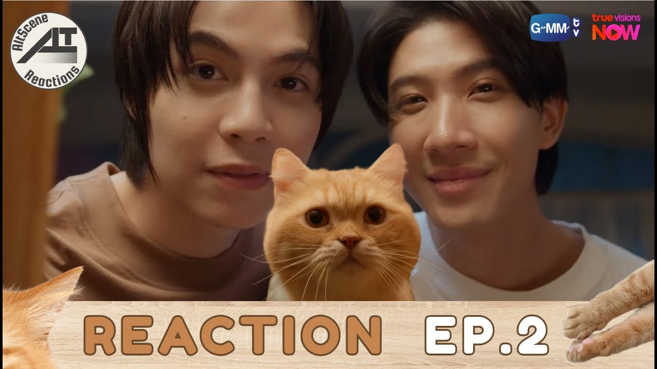 [REACTIONS] AltScene Reactions เอาซีนมารีแอค l เปย์รักด้วยแมวเลี้ยง Cat For Cash EP.2