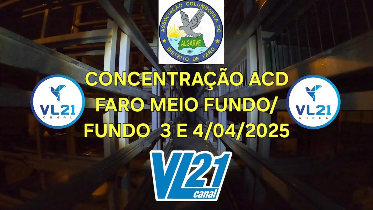 COLUMBOFILIA/CONCENTRAÇÃO ACD FARO ABRIL 2025/VL21