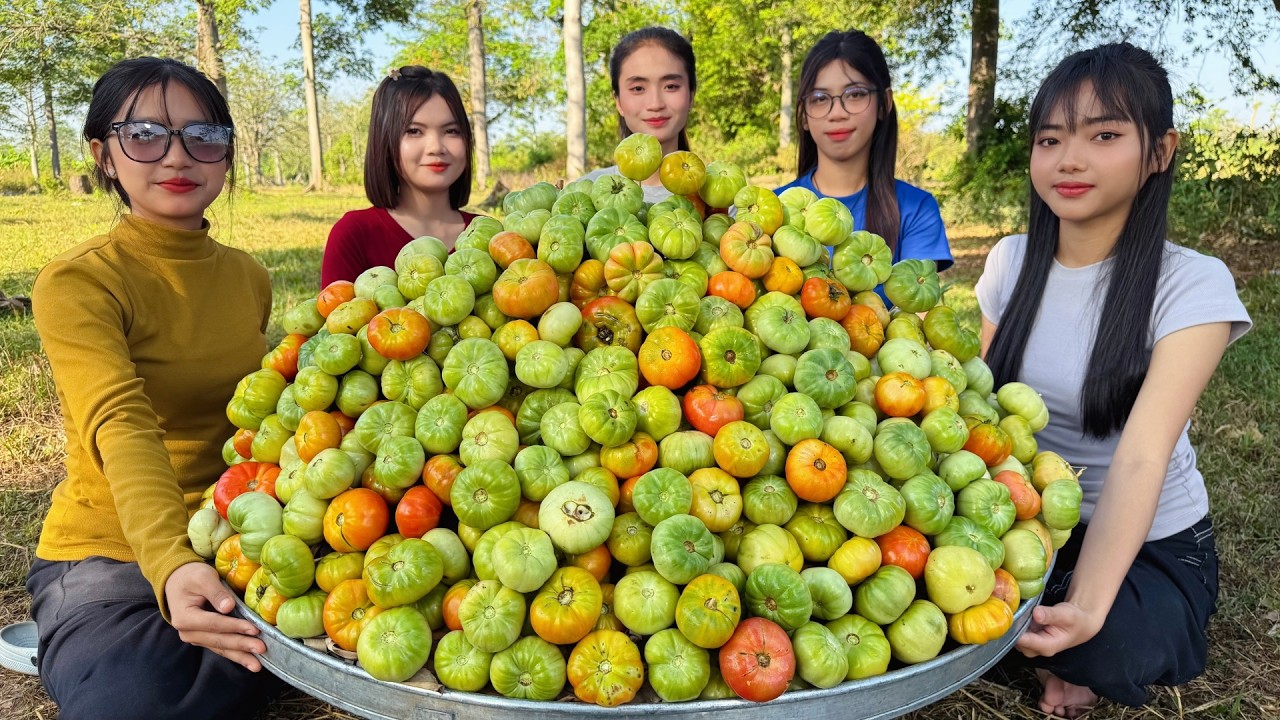 Amazing cooking deep fried green tomato recipe