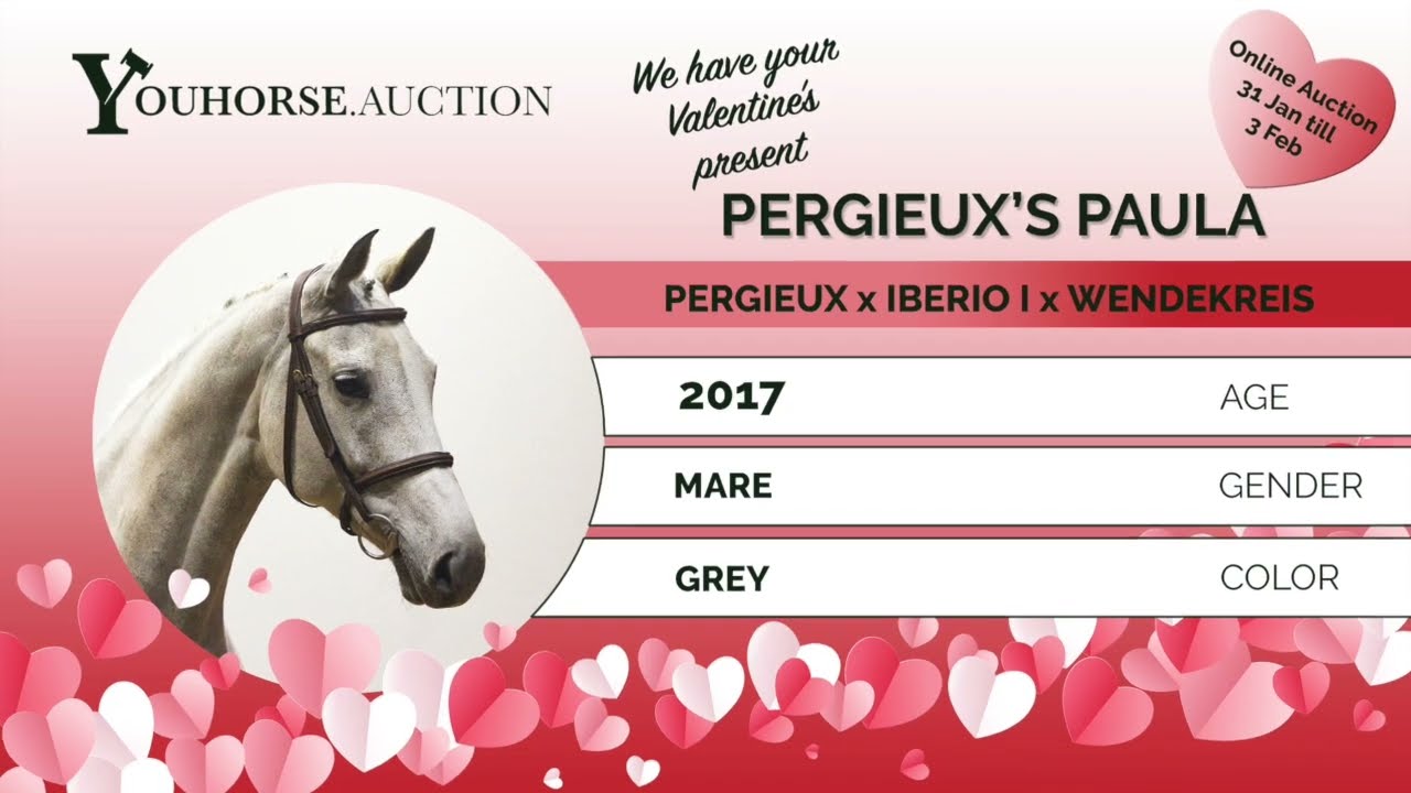 Perigueux's Paula showvideo