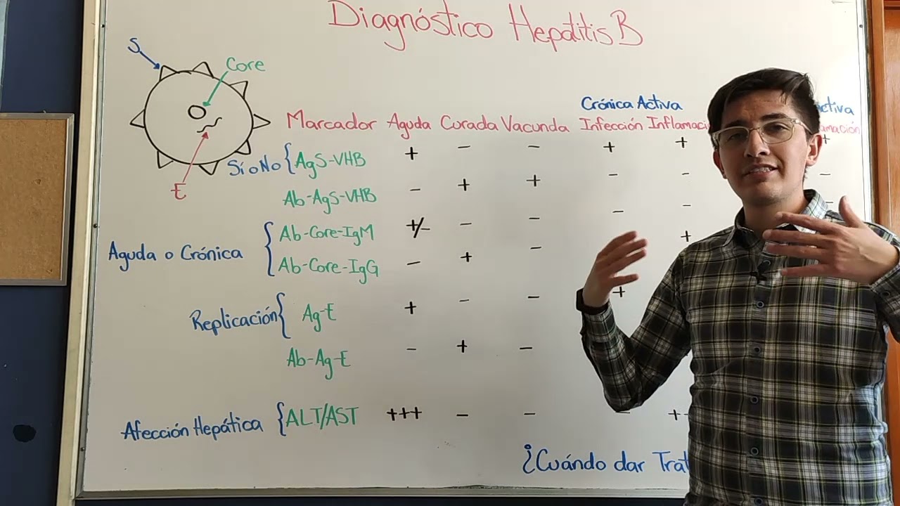 Hepatitis virales 2: Hepatitis B