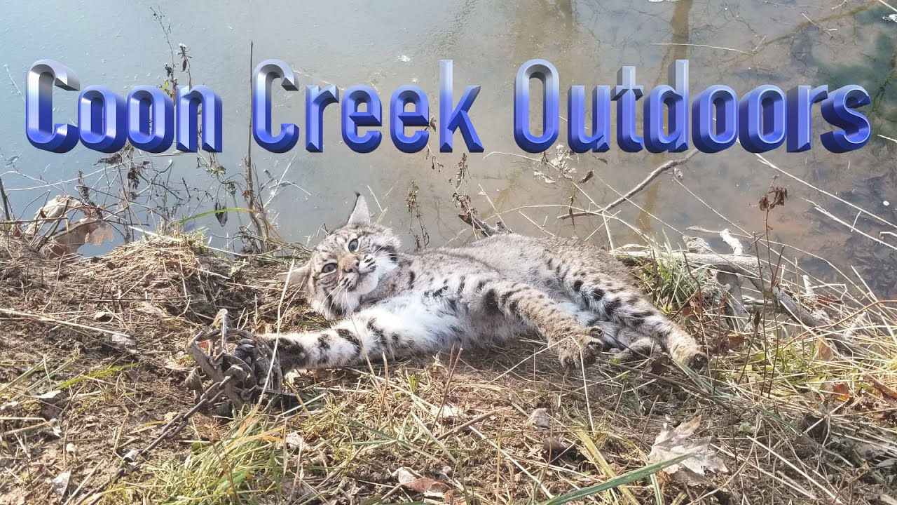 Setting Up and Running a Small TRAPLINE (Back to My Roots)