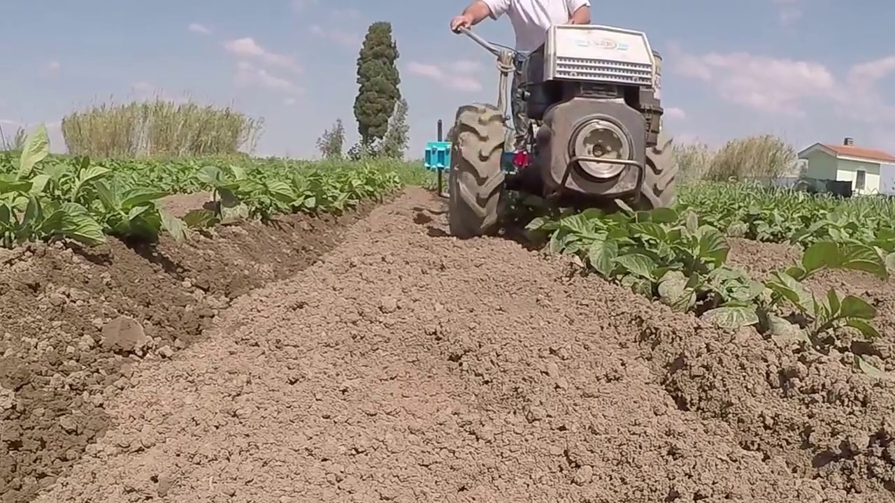 lavorazione e rincalzatura patate