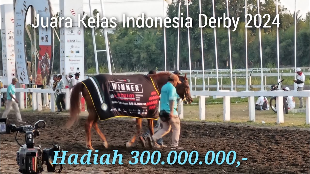 Juara Final Kejurnas Indonesia Derby 2024 || Kelas Derby 2000 M