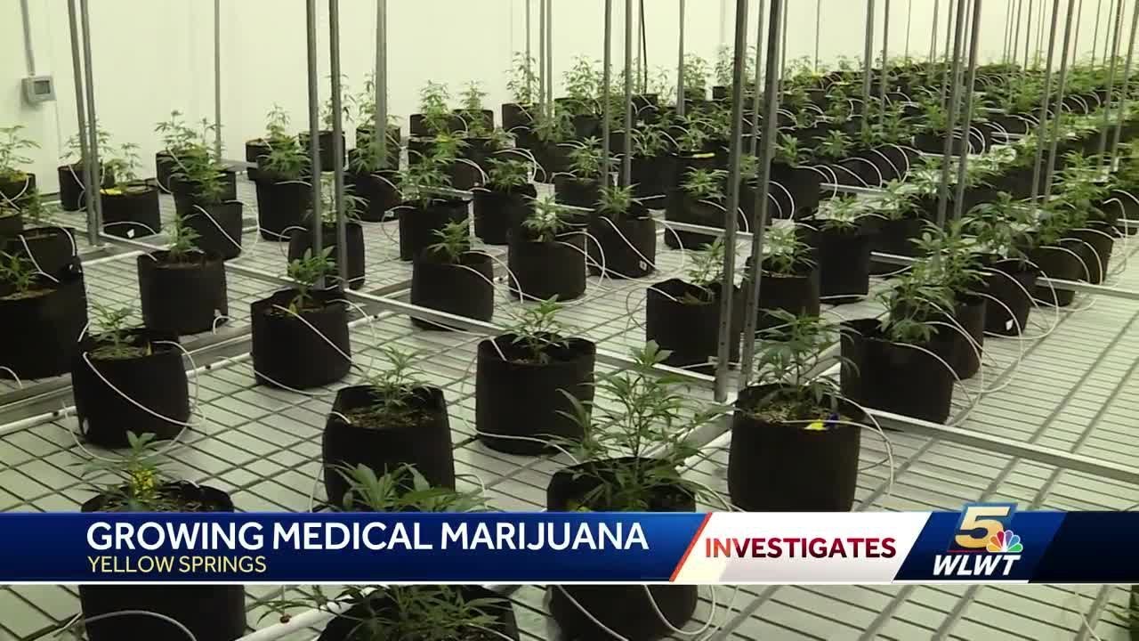 Behind the scene's at one of Ohio's first pot farms