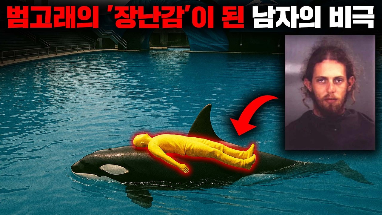 아쿠아리움의 범고래 등 위에서 남자가 너덜너덜한 시신으로 발견되었던 이유 [사건사고]