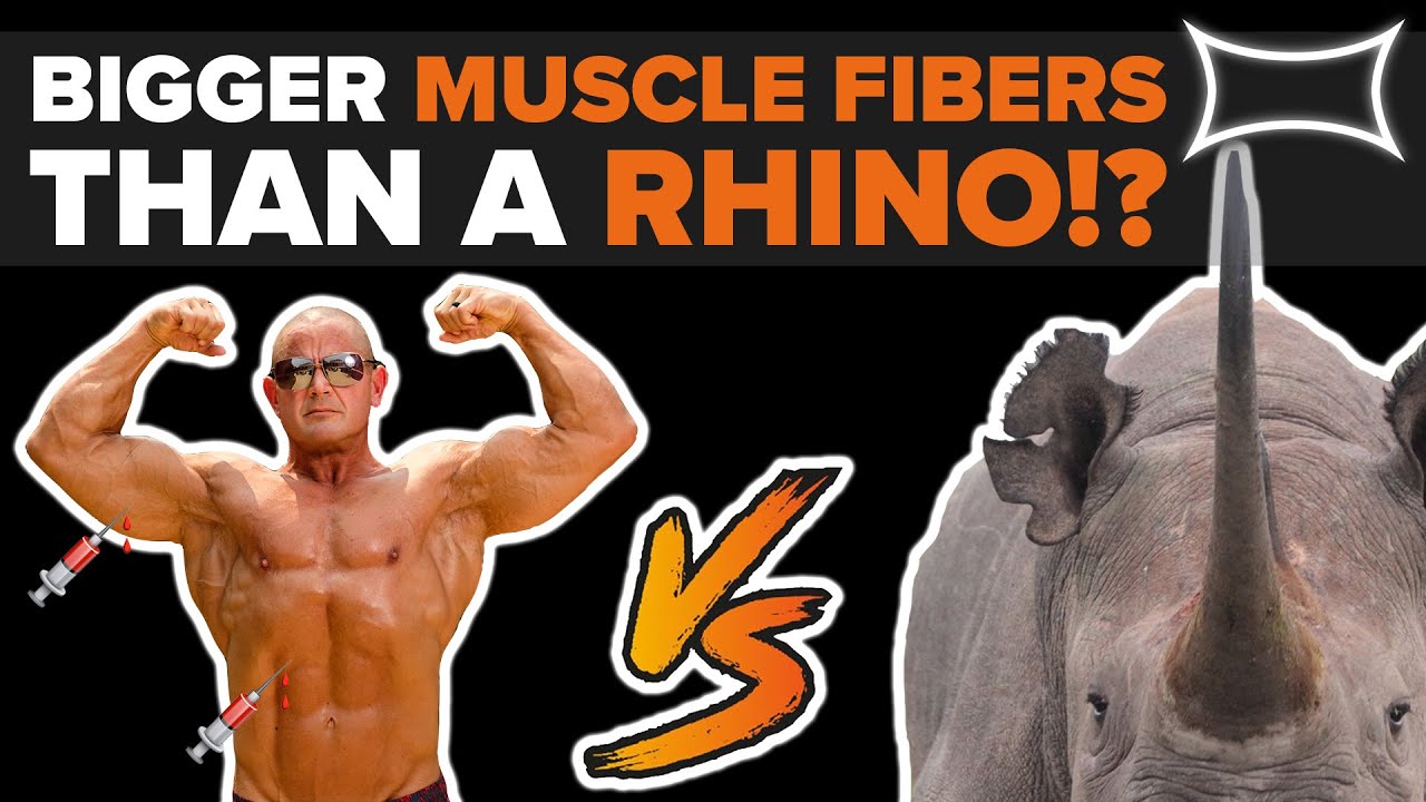 What STEROIDS Do To Your Muscle Fibers | STEROID USER HAS Muscle Fibers Tested Ft. Dr. Andy Galpin