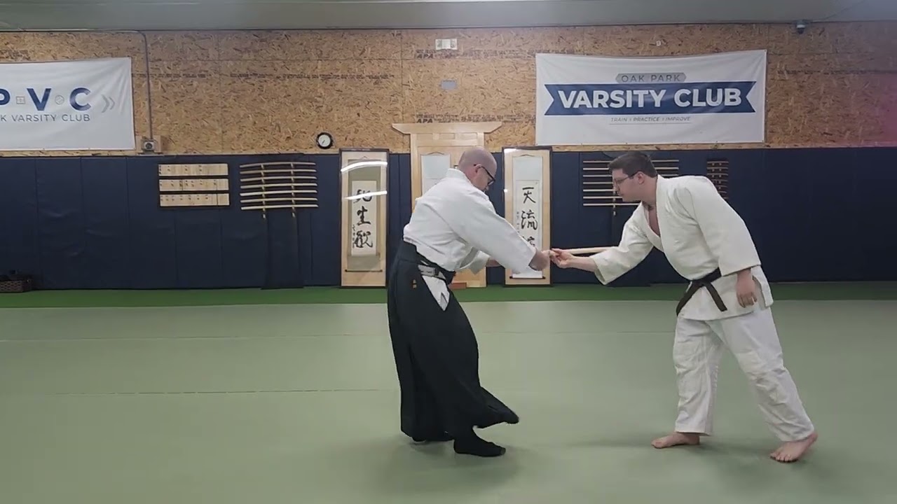 Aikido. Bokken Dori Yokomenuchi sankyo