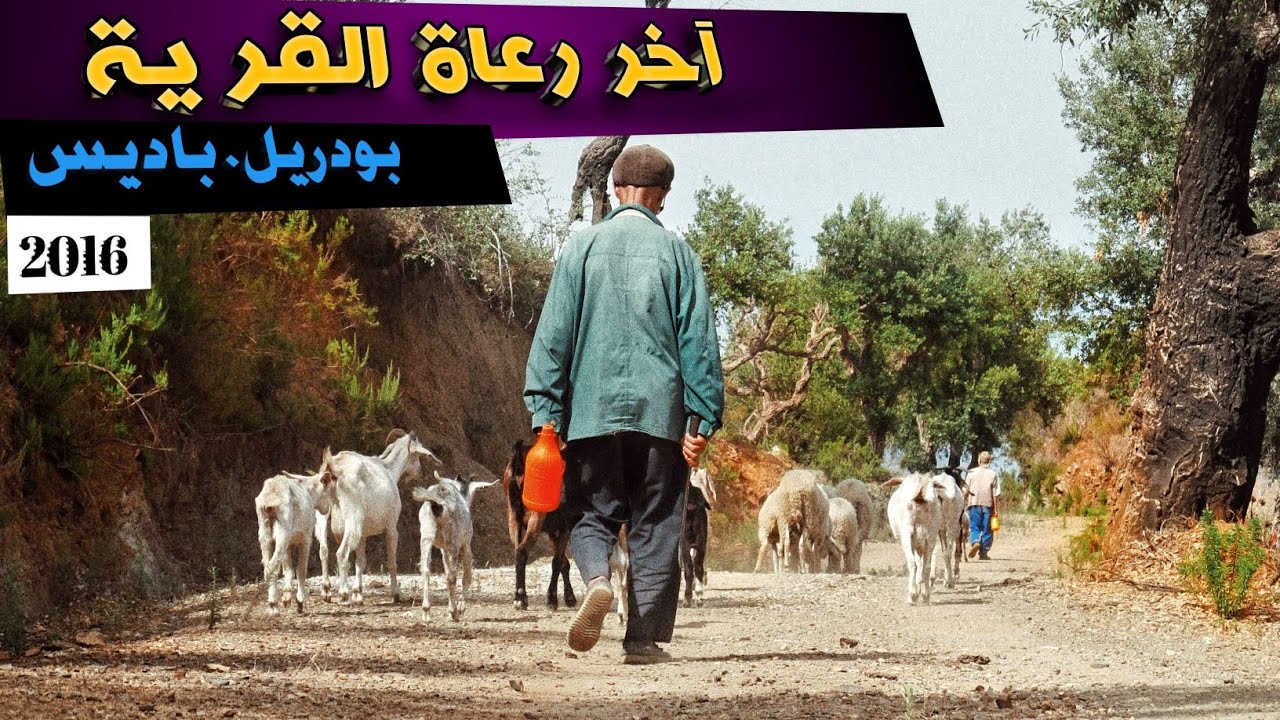 رحلة لرعي الماشية أسفل قرية آشرار مع عمي الطاهر و عمي عمر 16/08/2016( برج الطهر)
