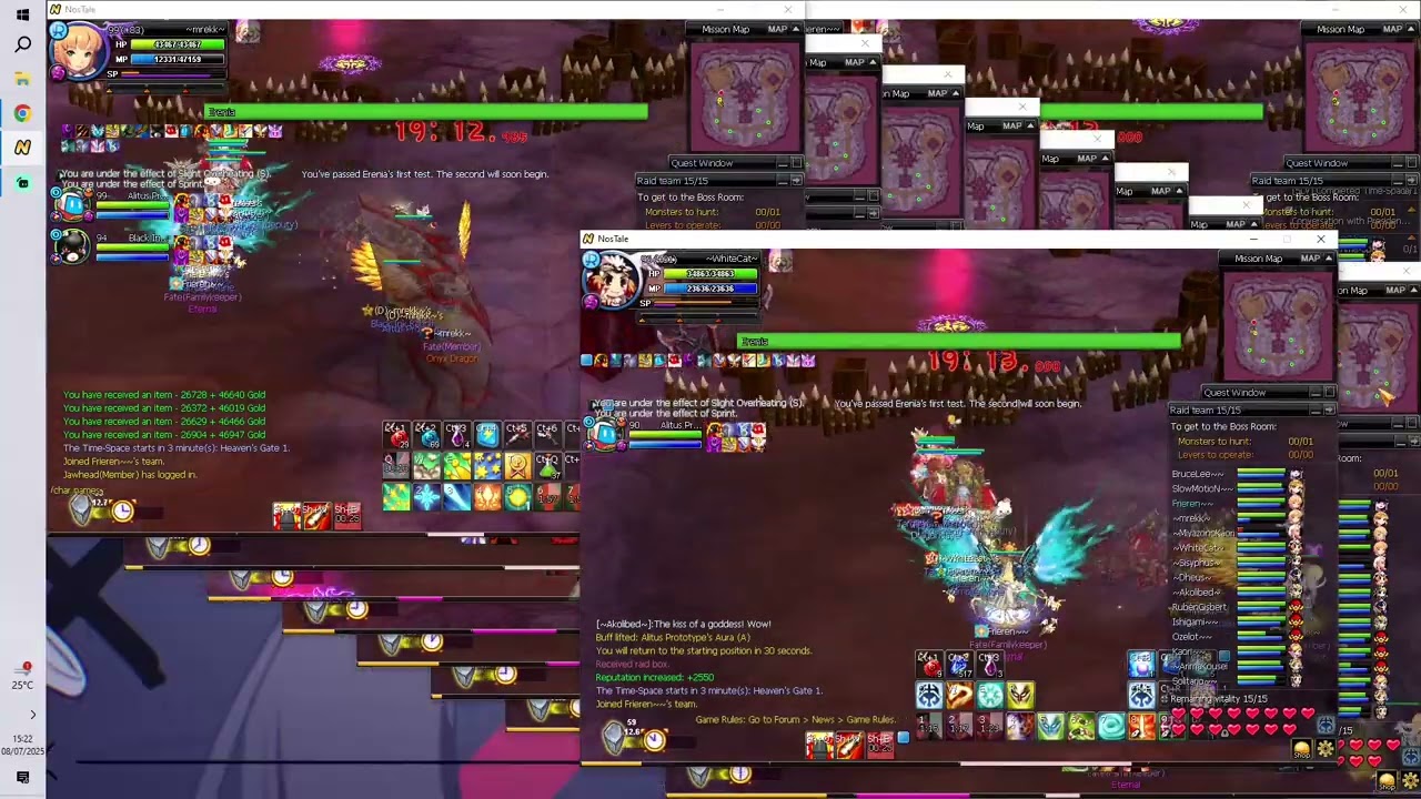 Nostale - What does Erenia look like in 2025 ?