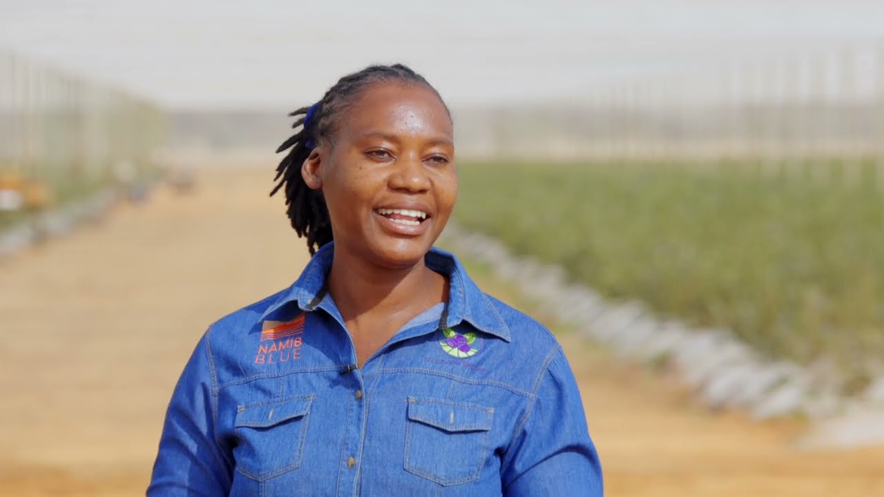 The bees and the birds of blueberry production in Namibia