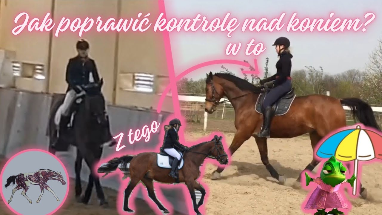 jak POPRAWIĆ KONTROLĘ nad KONIEM ? - chody boczne #jazdakonna