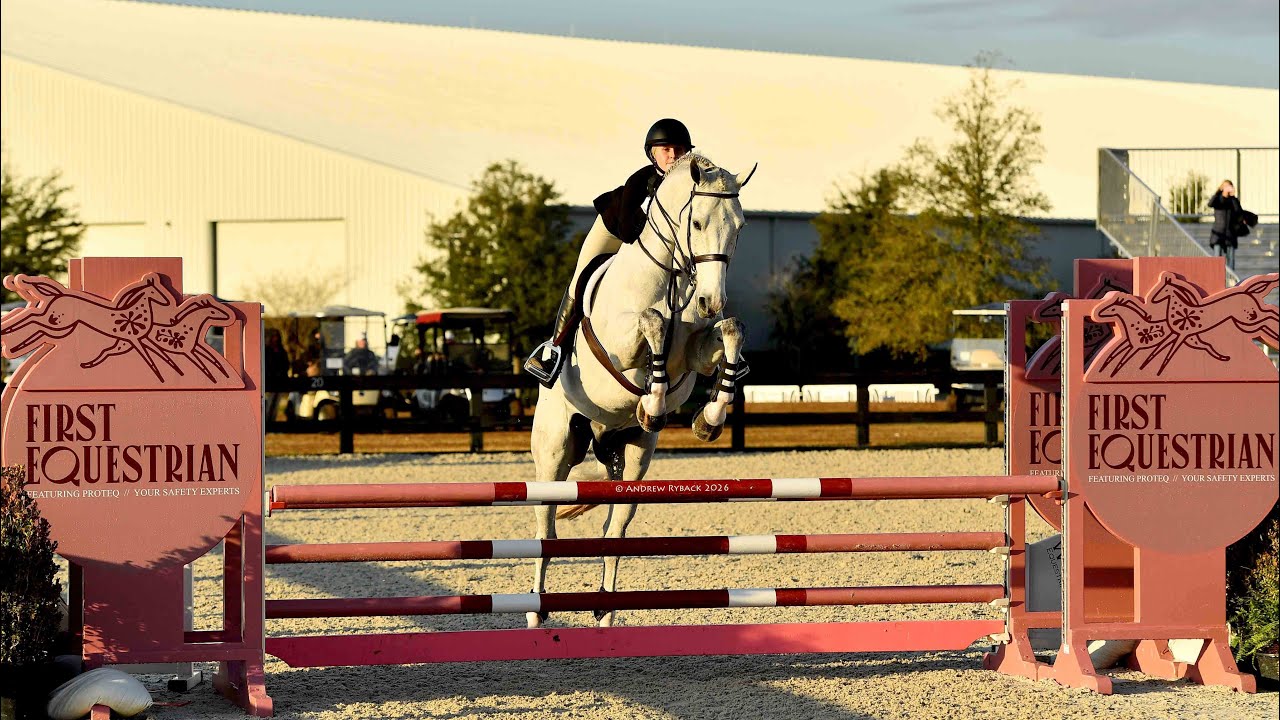 4th Place Age Group Equitation (85) out of 27 | Pantalo