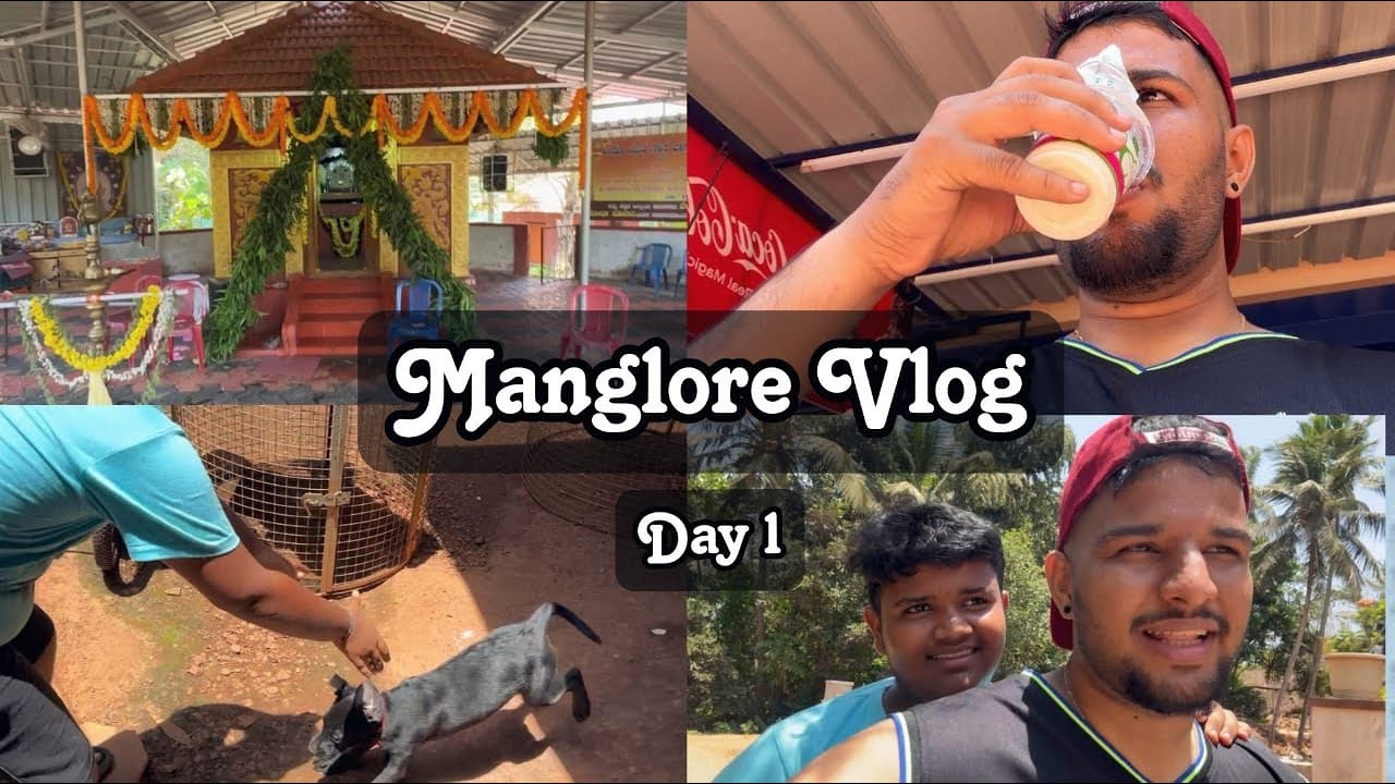 Travel Vlog | Mumbai to mangalore | Netravati Express
